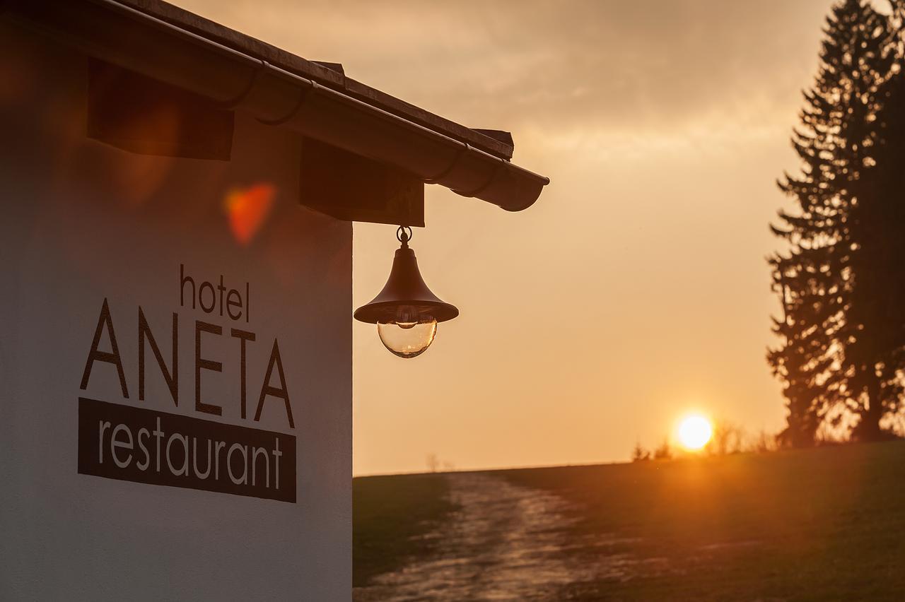 Aneta Hotel & Restaurant Vitkovice Ngoại thất bức ảnh