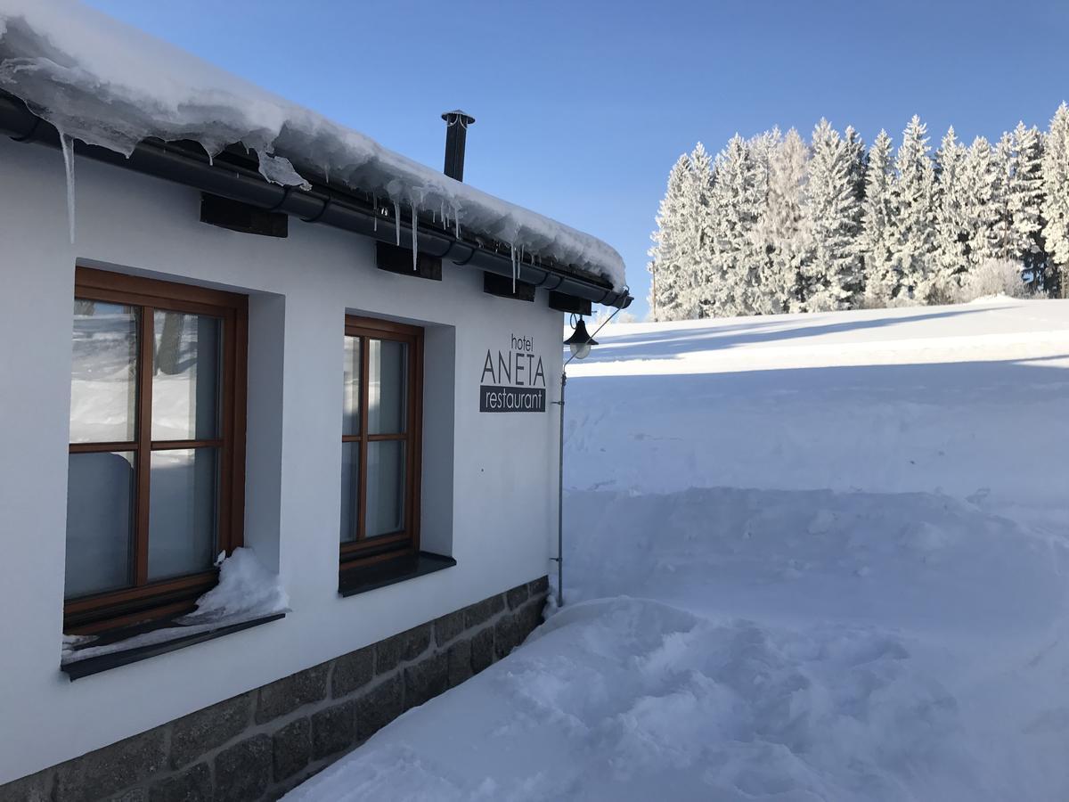 Aneta Hotel & Restaurant Vitkovice Ngoại thất bức ảnh